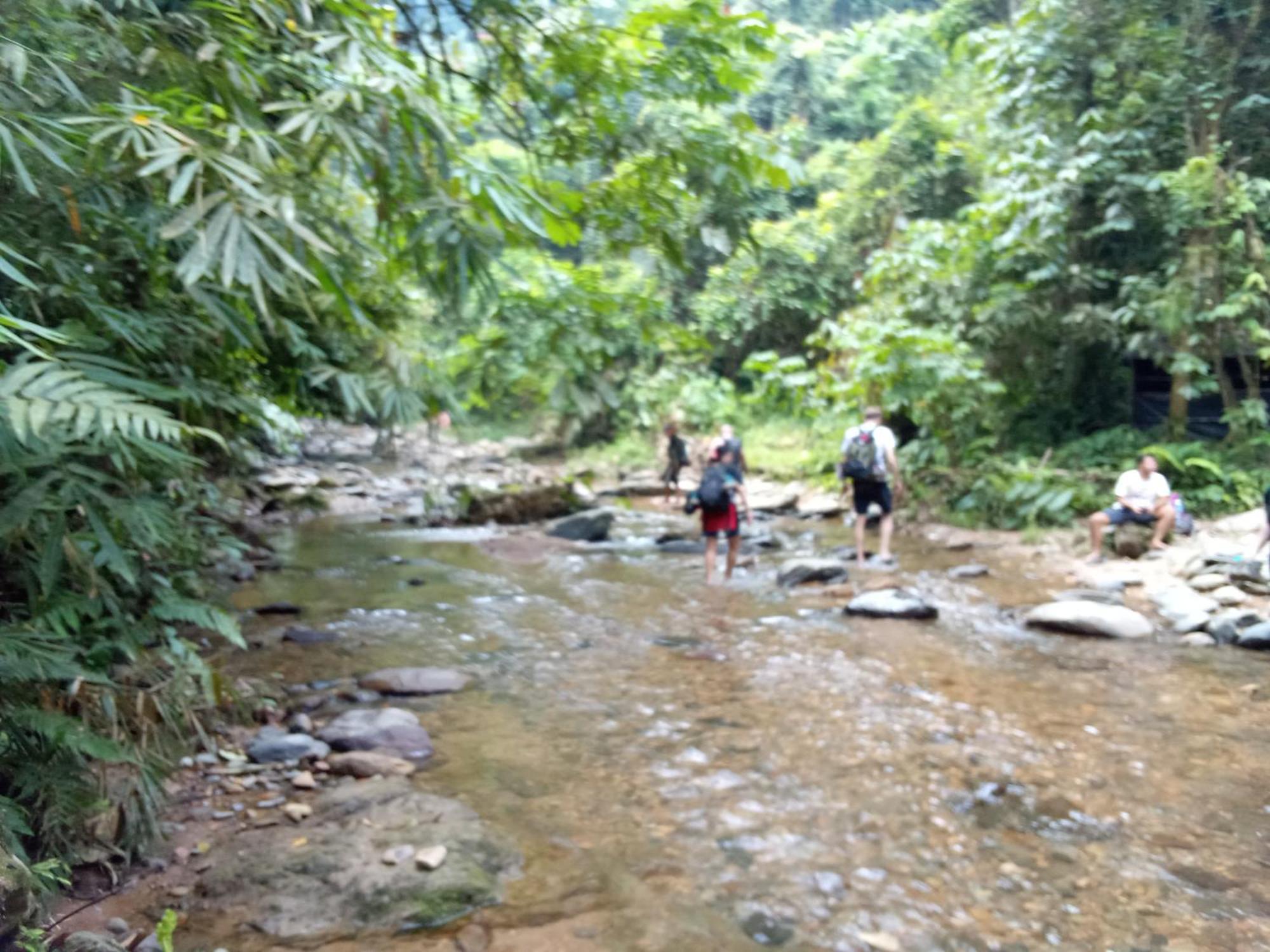 Jungle Treking & Jungle Tour If You Want To Stay Here,You Must Book Treking Only With Us Bukit Lawang Exterior photo