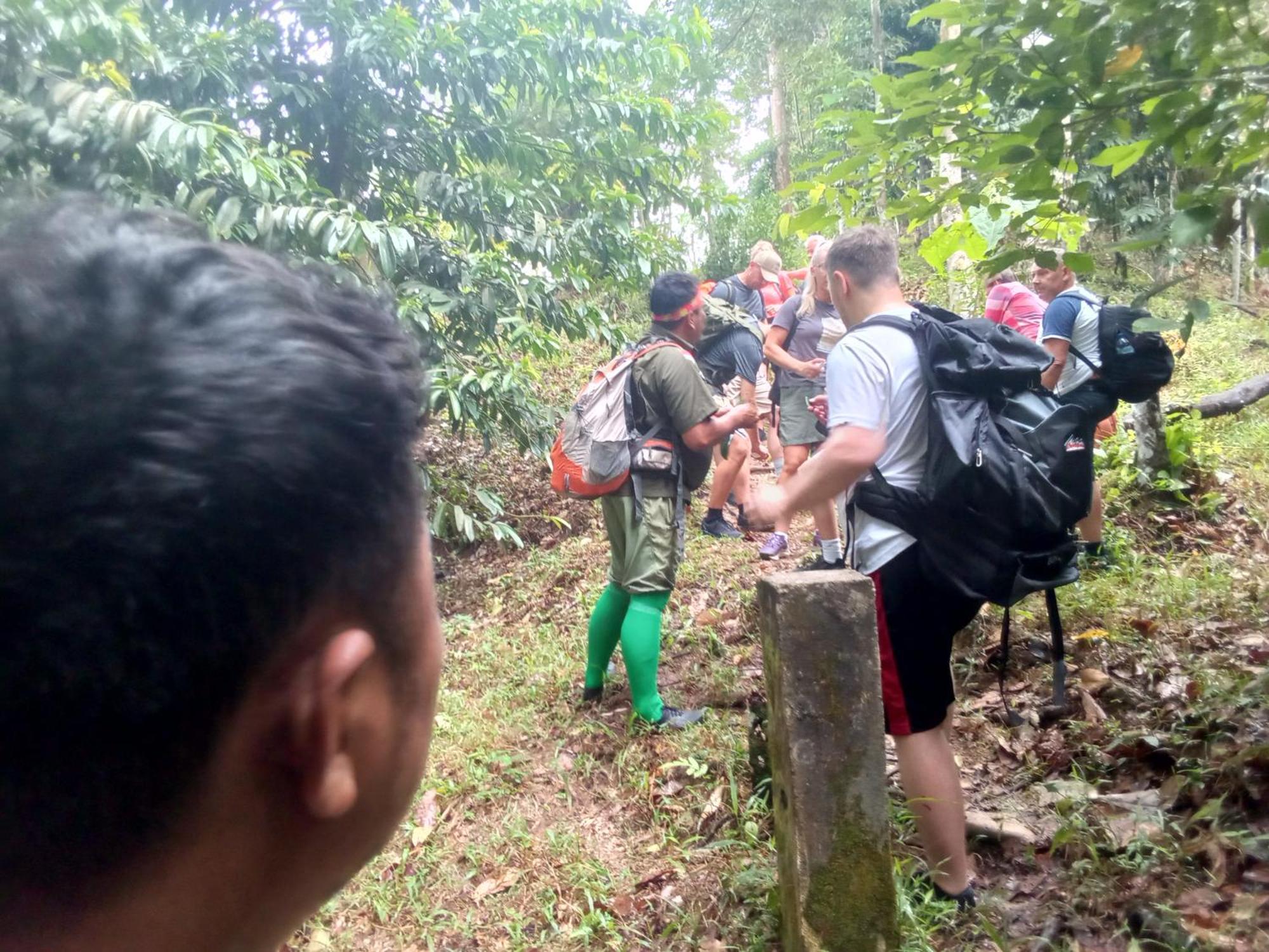 Jungle Treking & Jungle Tour If You Want To Stay Here,You Must Book Treking Only With Us Bukit Lawang Exterior photo