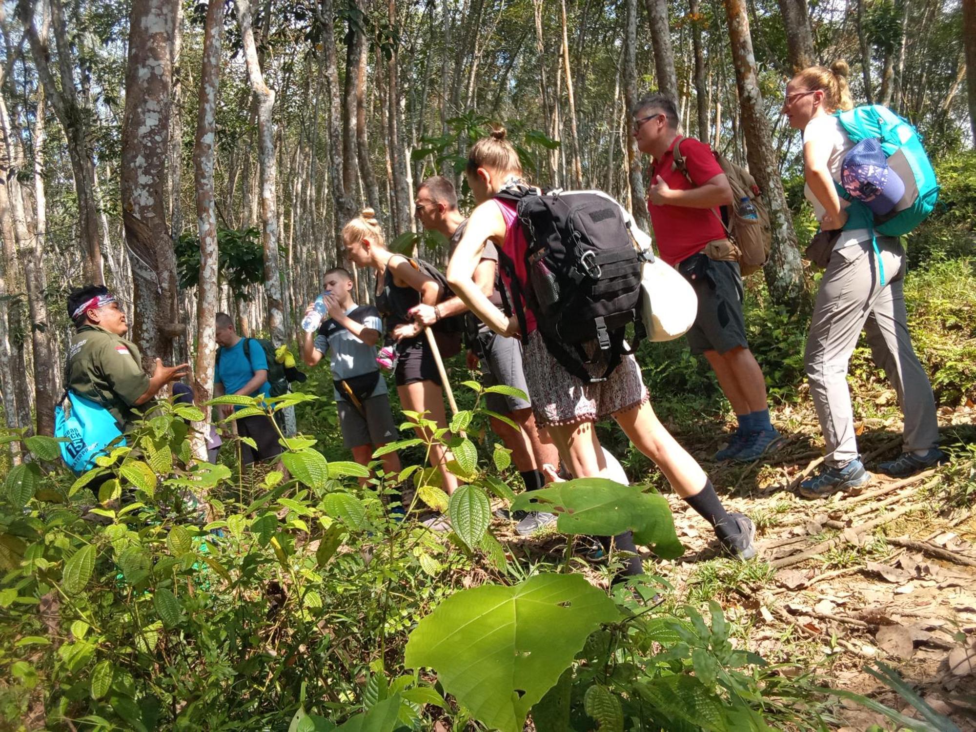 Jungle Treking & Jungle Tour If You Want To Stay Here,You Must Book Treking Only With Us Bukit Lawang Exterior photo